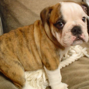 Meet your Posher, Jack